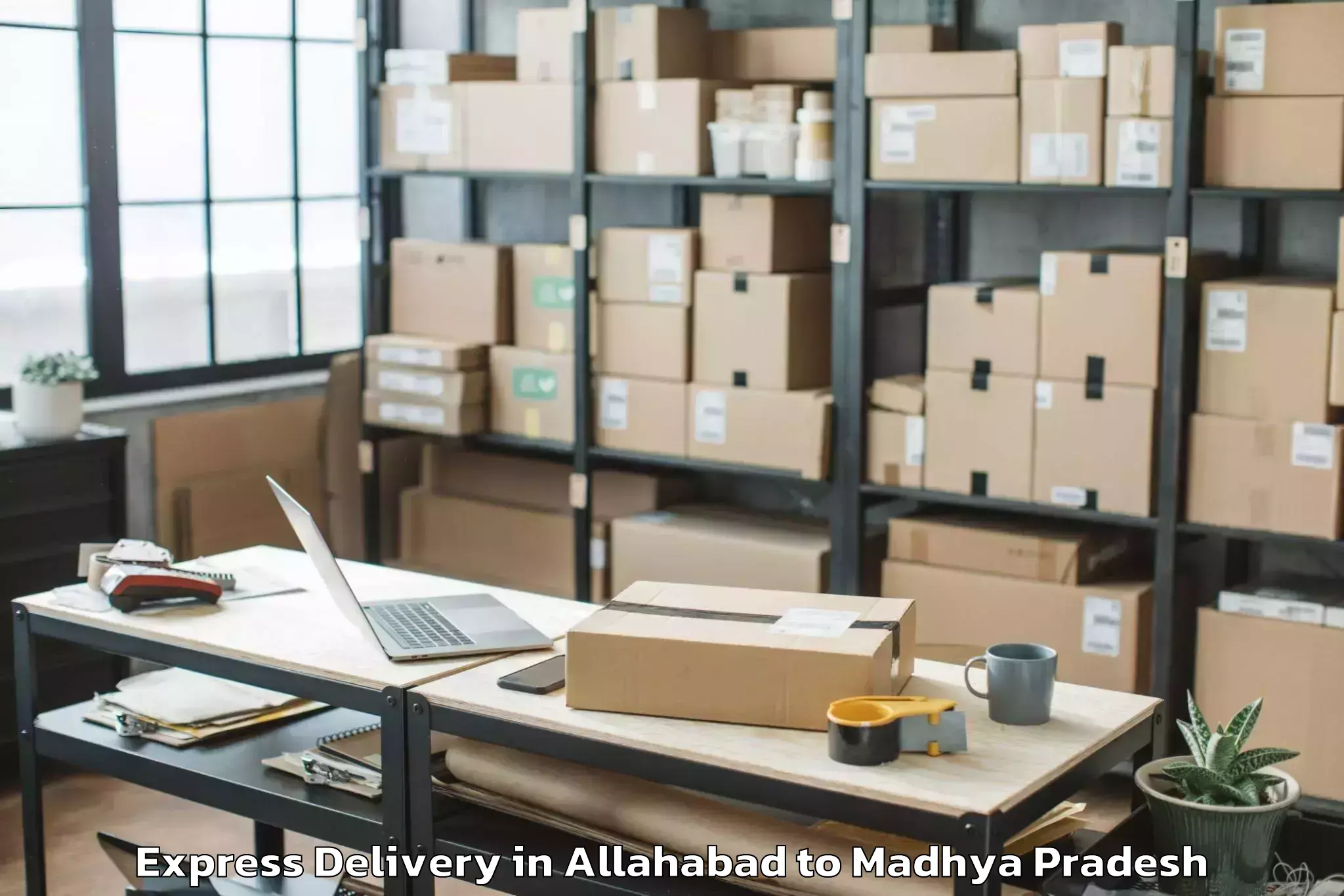 Book Allahabad to Mandsaur University Mandsaur Express Delivery